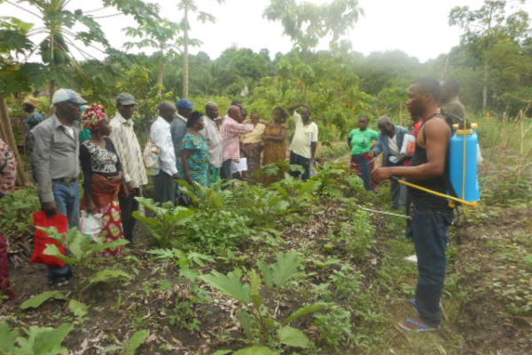 AP9-1 - tmg - Echange inter-groupes entre Kombé Kibelolo et Grâce de Dieu à Nganga Lingolo